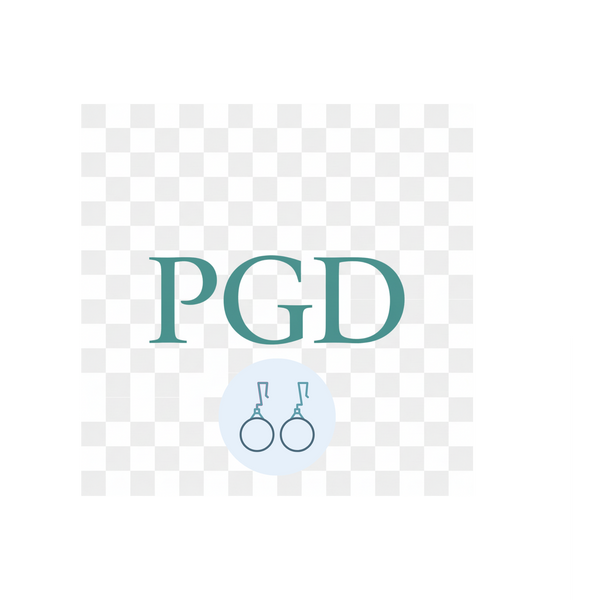 Pamela Gene Designs LLC